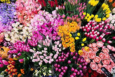 《使命召唤：战区》太平洋战场发布新预告 明日上线